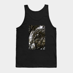 tree shadows Tank Top